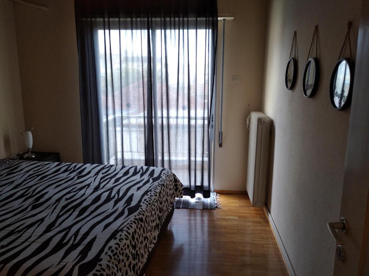 Niki'S House Άνετο Διαμ/Σμα 106Τμ 2 Υπνοδωματίων Appartamento Volos Esterno foto